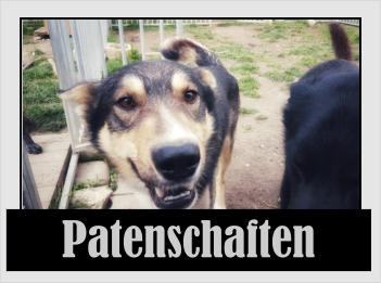 Patenschaften Patenschaften