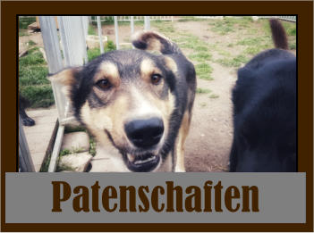 Patenschaften Patenschaften