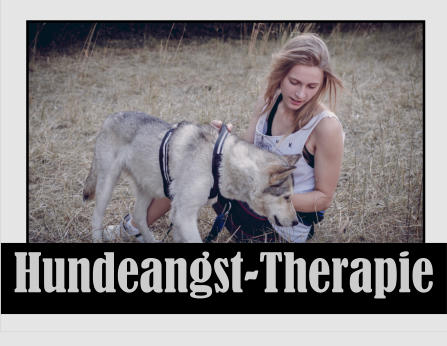 Therapie Therapie Therapie Hundeangst-Therapie