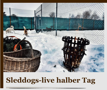 Sleddogs-live halber Tag