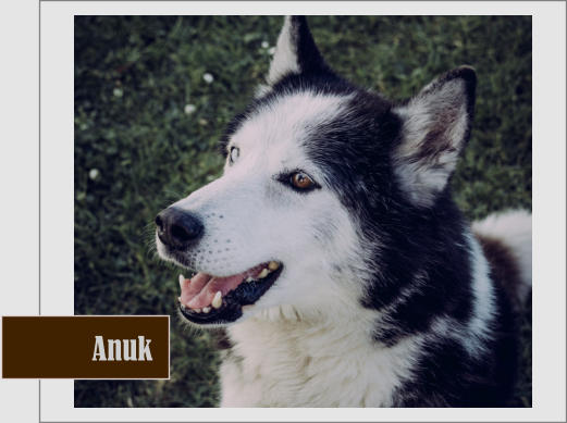 Anuk