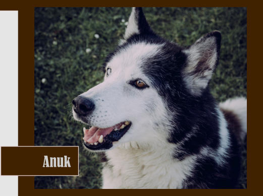 Anuk