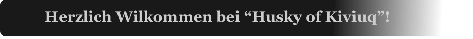 Herzlich Wilkommen bei Husky of Kiviuq!