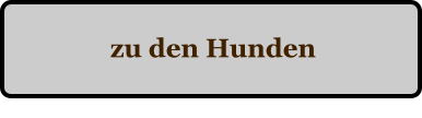 zu den Hunden