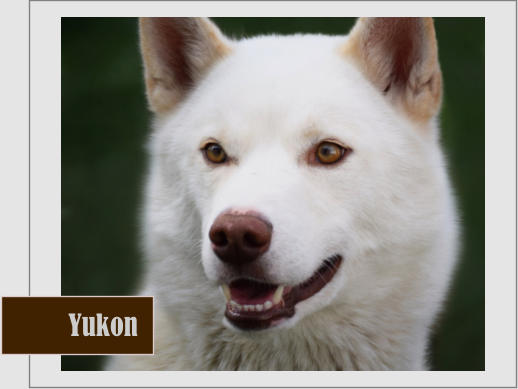 Yukon