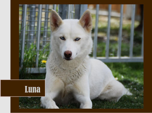 Luna