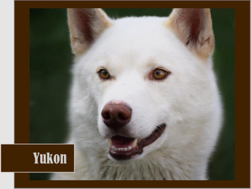 Yukon